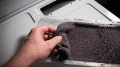 Bevor Sie es wegwerfen, erfahren Sie, wie Sie die Flusen aus dem Wäschetrockner im Garten nutzen können