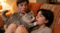 Wie Sie erkennen, dass Sie Ihre Katze verwöhnt haben: Machen Sie diese Fehler nicht noch einmal!