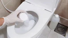 Die Toilettenschüssel wird in 15 Minuten mühelos von Kalkablagerungen und Rost befreit: eine Methode ohne Handwerker und ohne hohe Kosten